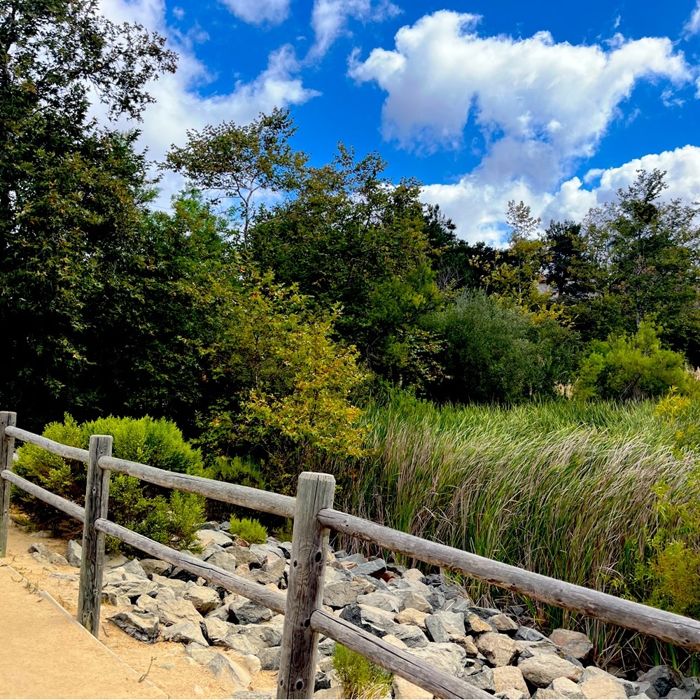 Meet your Posher, Geri